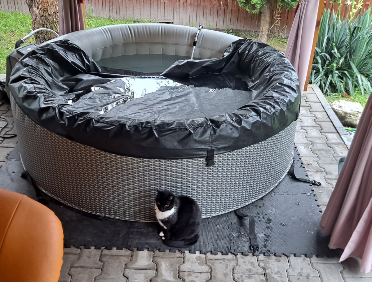 8889f4ce-6ae3-4d3d-9db4-3fcbd0772e75