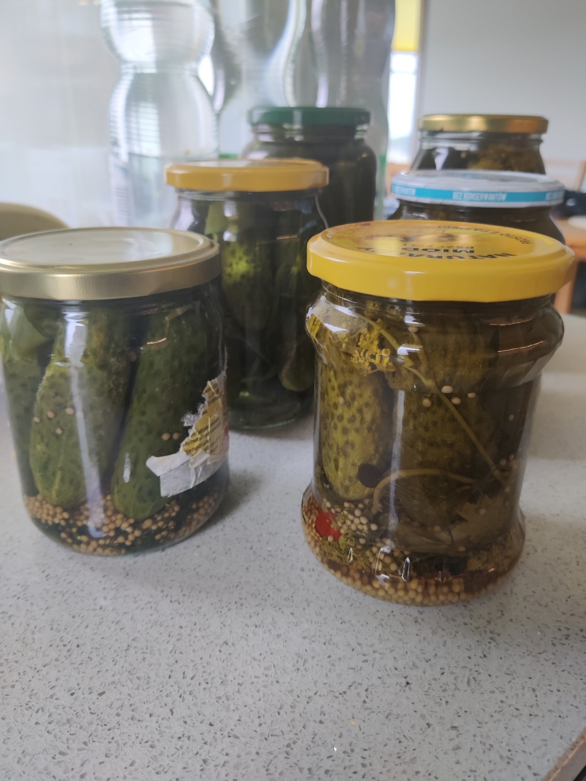 4e1e728a-7624-4434-921f-6ee7ddbf06a9