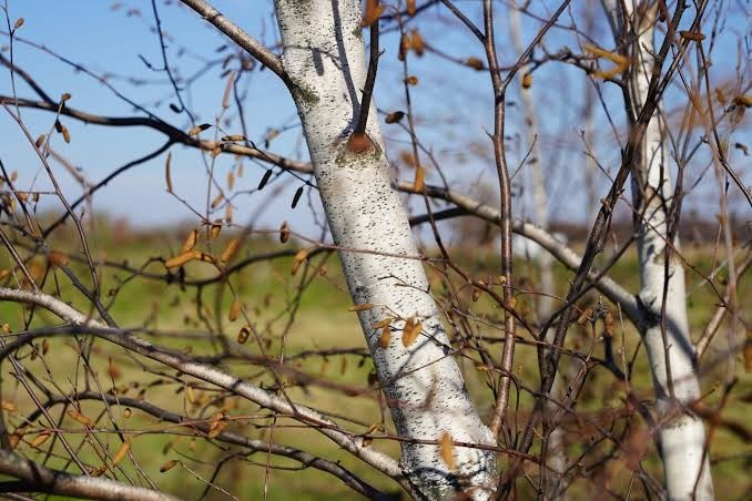 3911a9b0-7393-4cdf-8d80-991eab7f432f