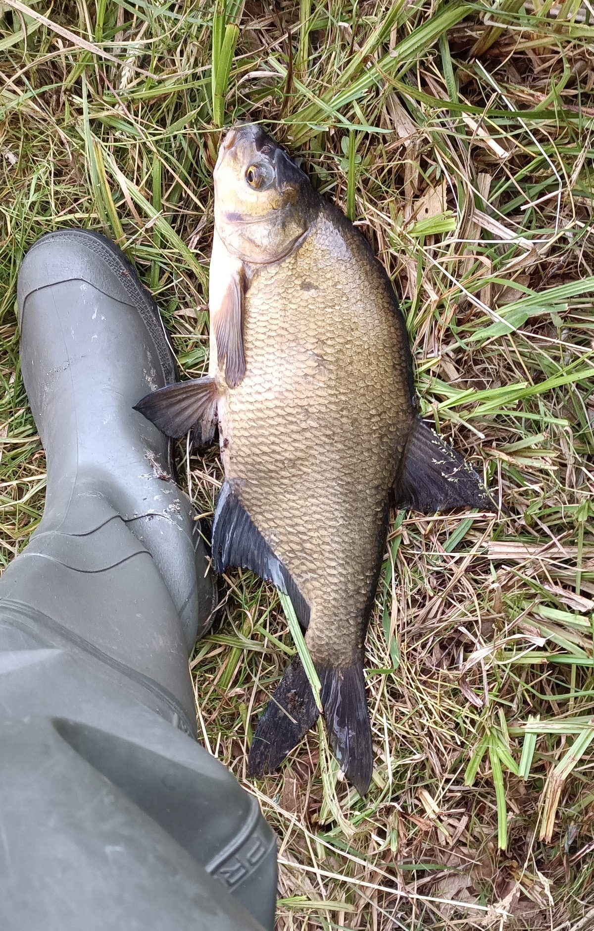 13478046-177f-4143-8917-3e3c412d840f