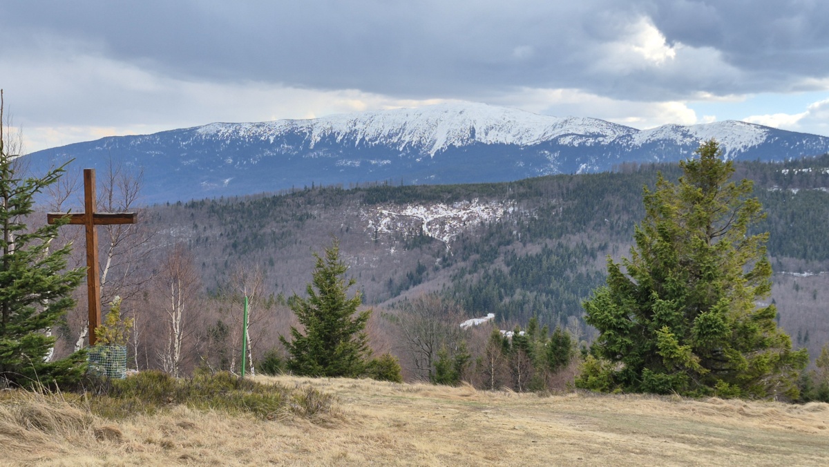 8a7866c7-fe4d-4c6f-a8a3-e70778db70ce