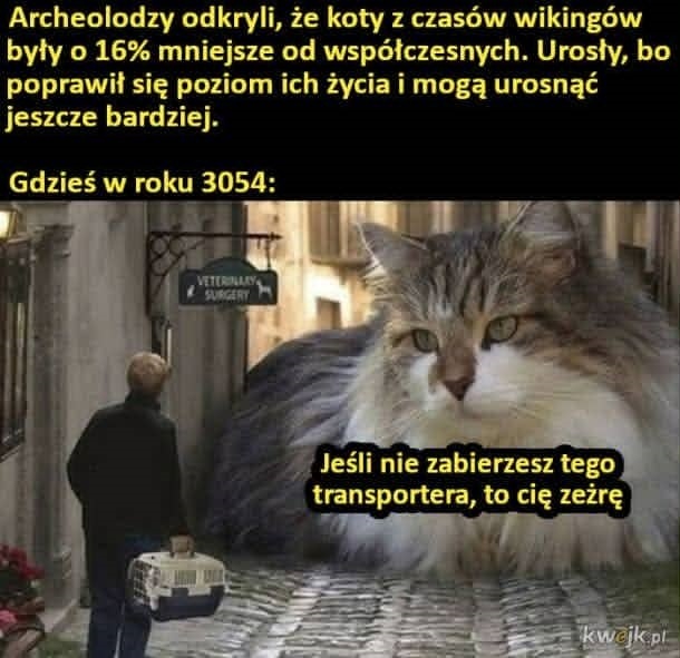 8a092442-ffaf-437d-b849-1c2f66f192bf