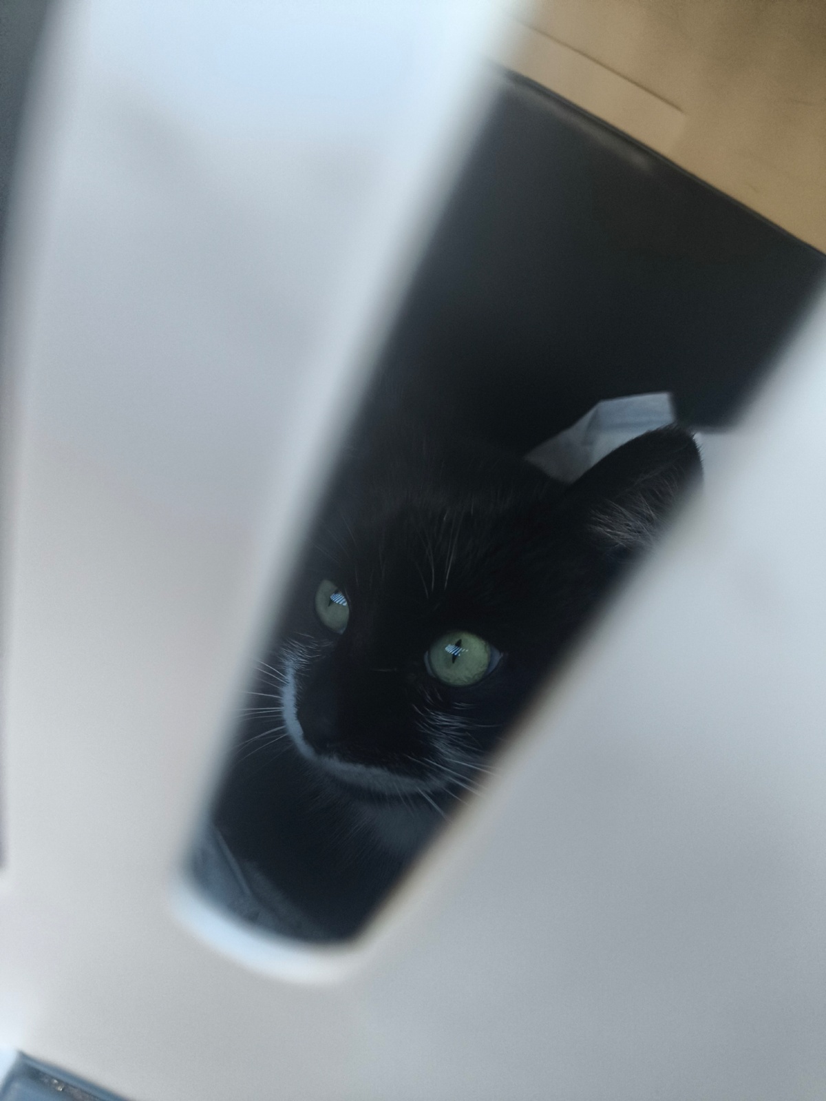 1480acaf-d39d-4291-b6e2-56e23cfd4043