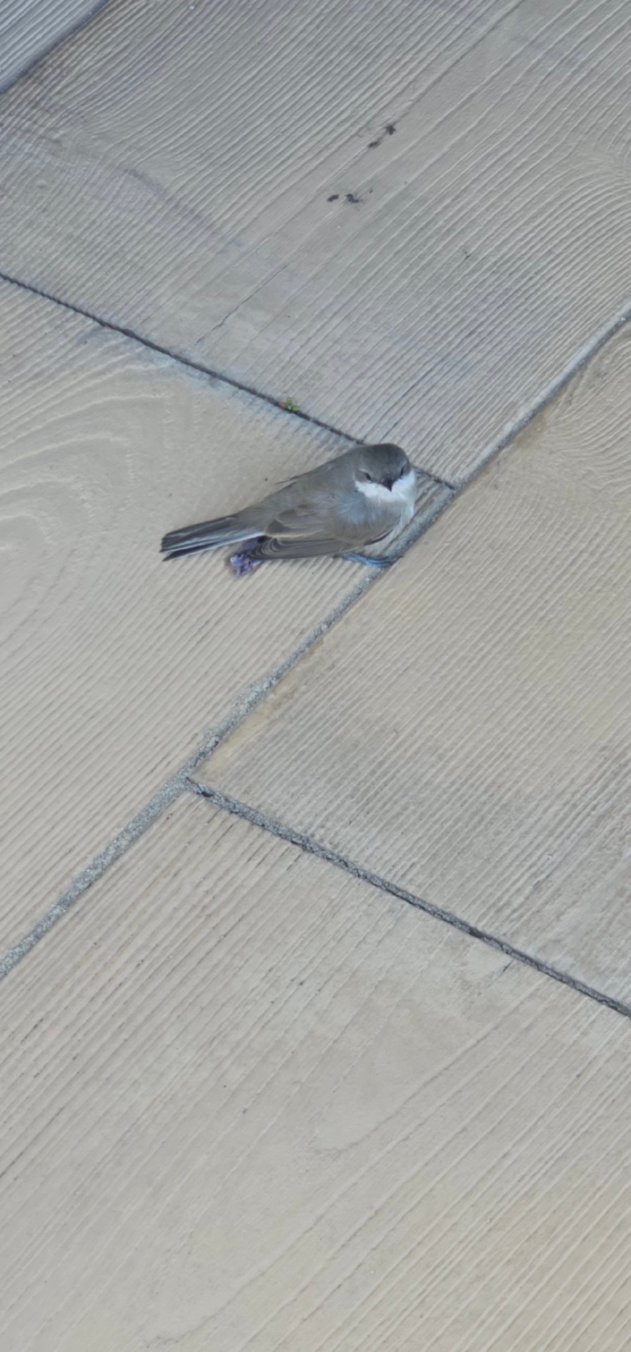 dd75a683-745f-4044-8d1b-344d6ddce20d