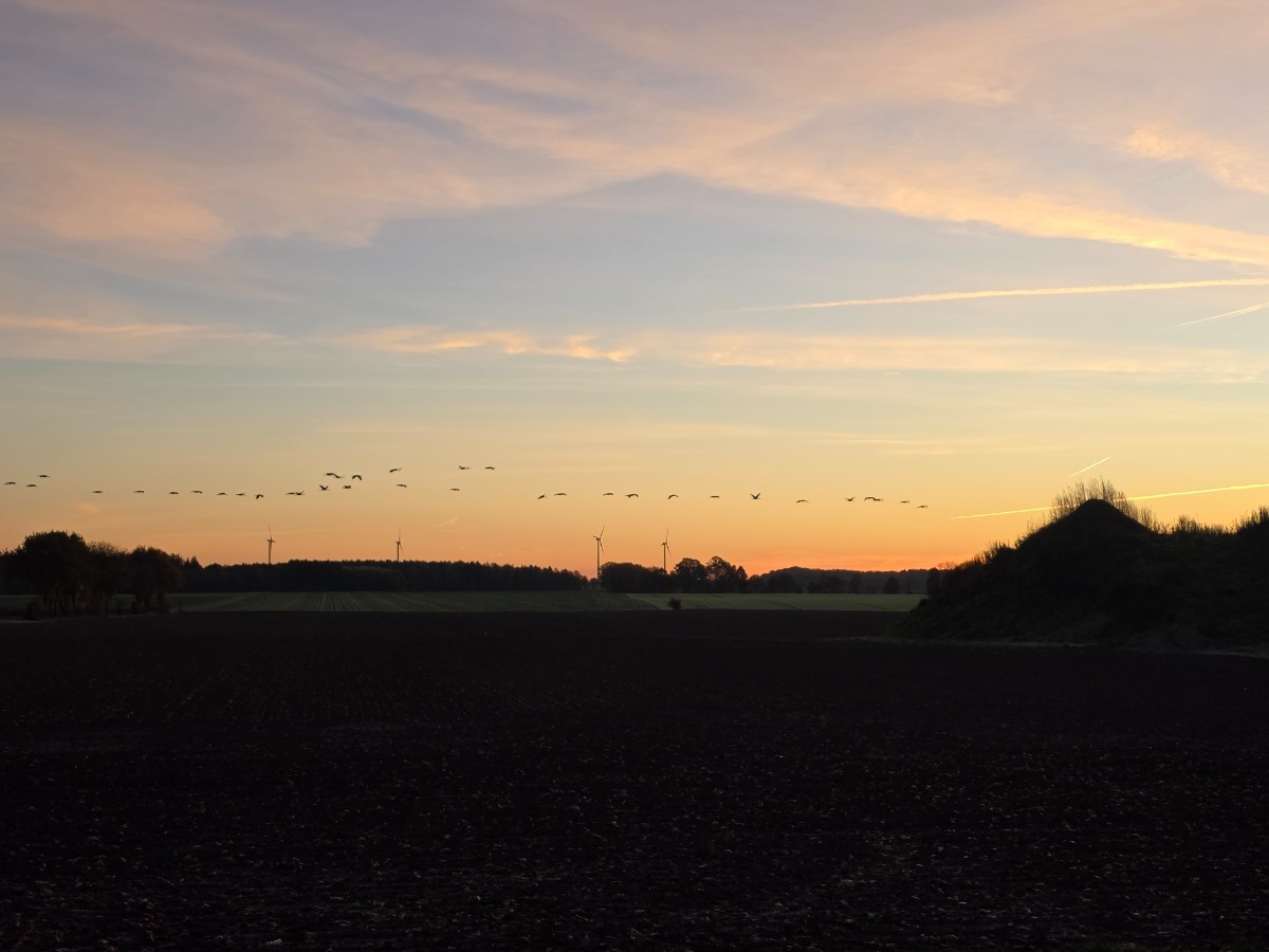 9fc48a31-adf0-4dad-9023-fc9731c6cebf