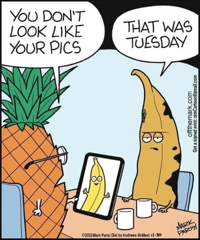 7cf02e91-583b-4d74-b205-f244ed58dea4