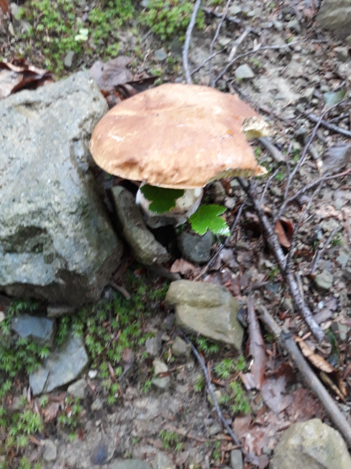 72d924b2-91d7-4670-981b-7e8efda45b03