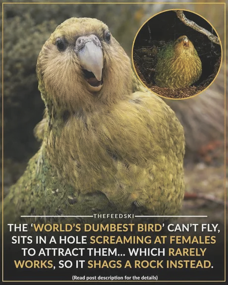 01d559ba-e437-4d11-9817-5e1d43a43dfa