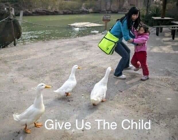 ed0cab47-e03f-4bbc-9e78-e14a78429105