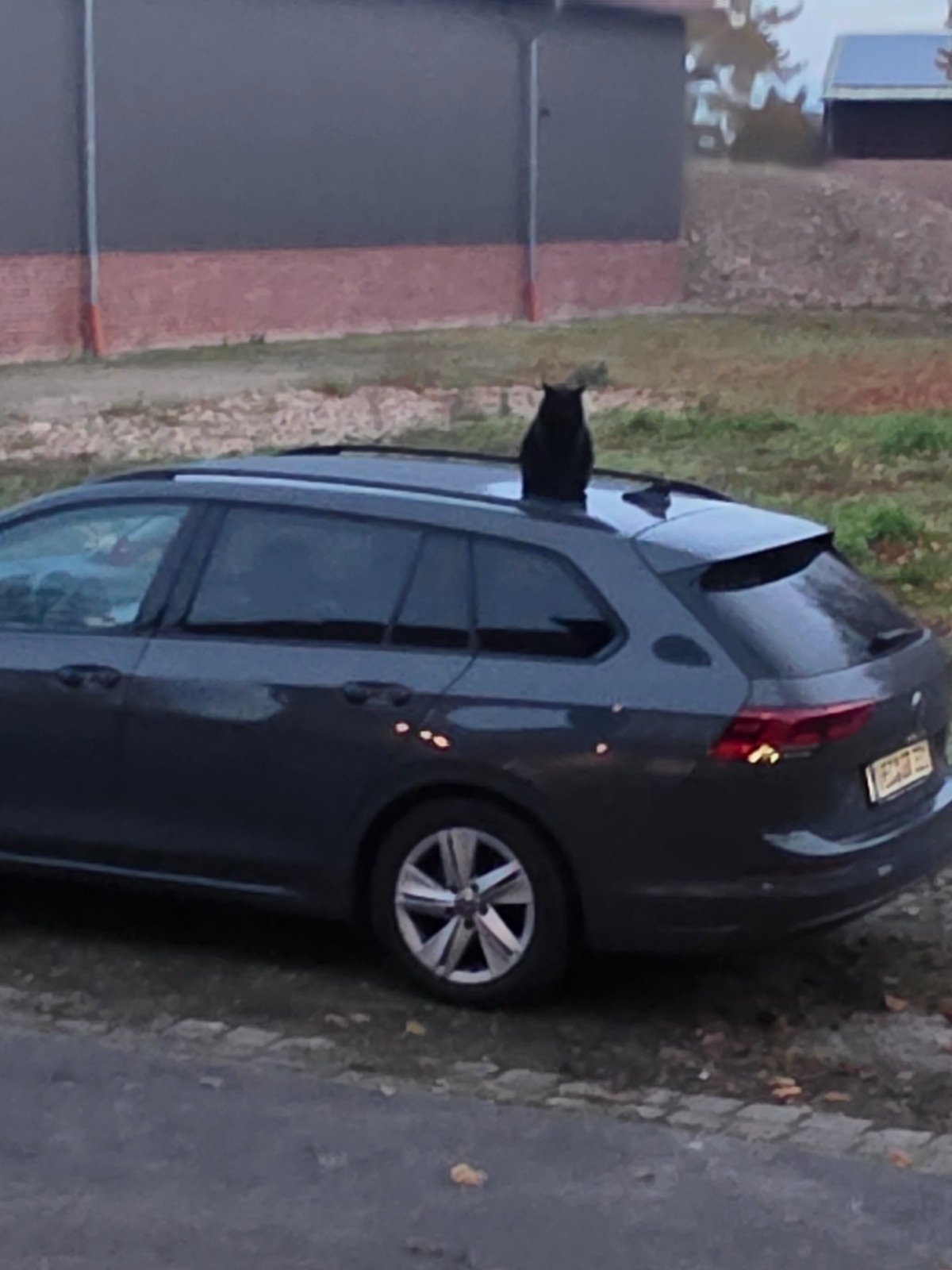 1f2a240f-3510-4289-b35c-f929cc69c83a