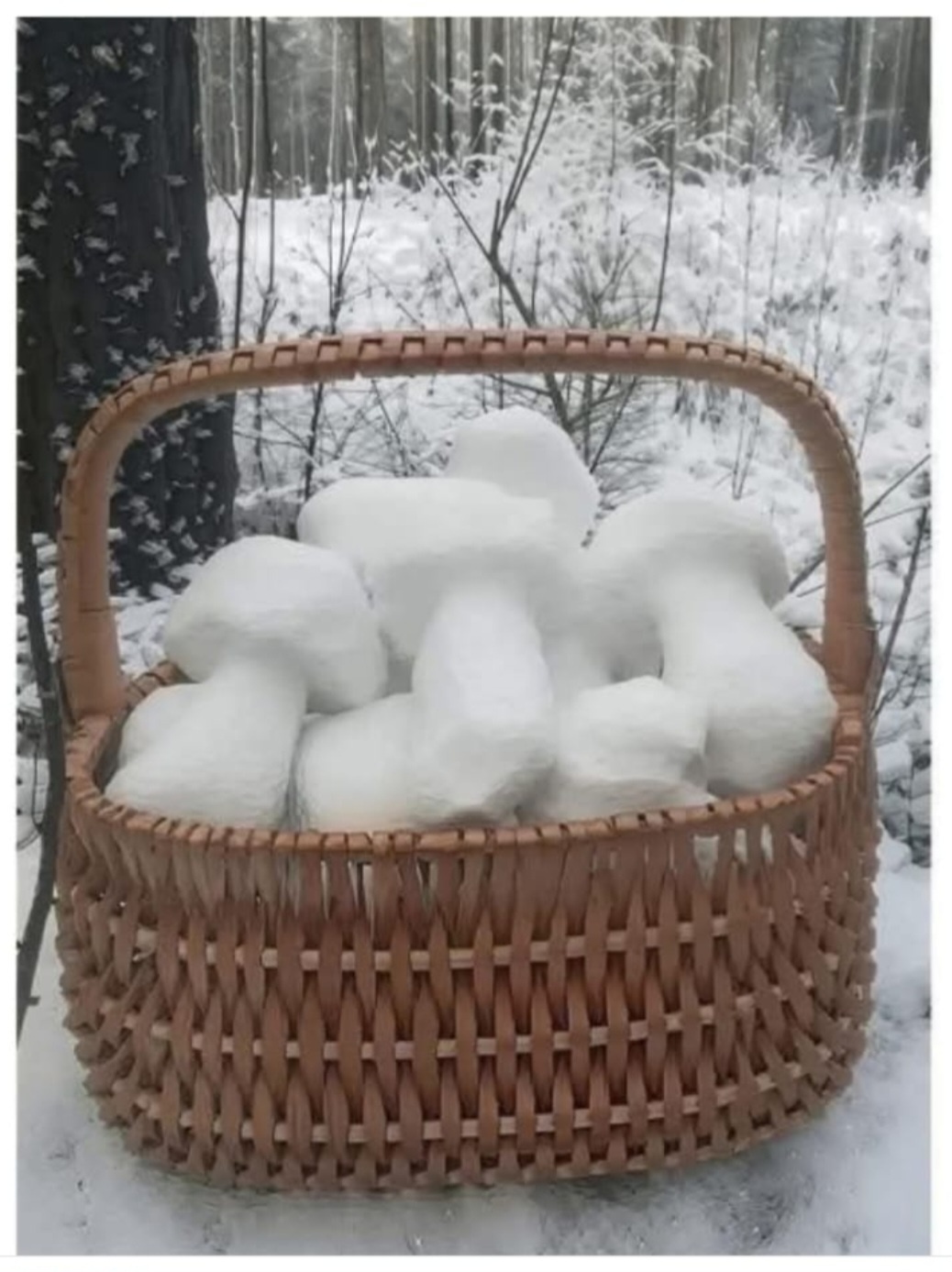 570c31b8-6bce-4871-9749-d70206b15808