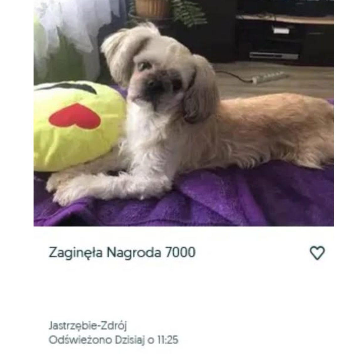 82fcf2df-1b35-4ea9-9d47-df13fc1d6964