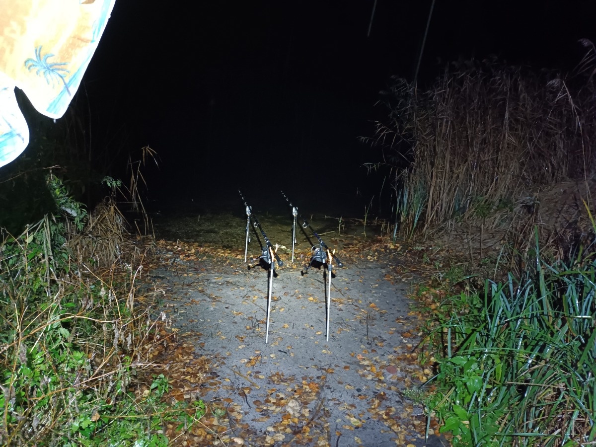 198c6c90-dc00-4b7c-b245-eb96ee3e6e6d