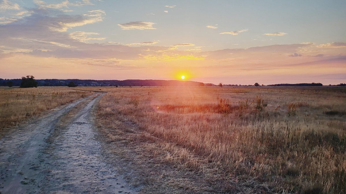 d998cc6c-2af3-4b9a-ac5f-deac0ee2d559