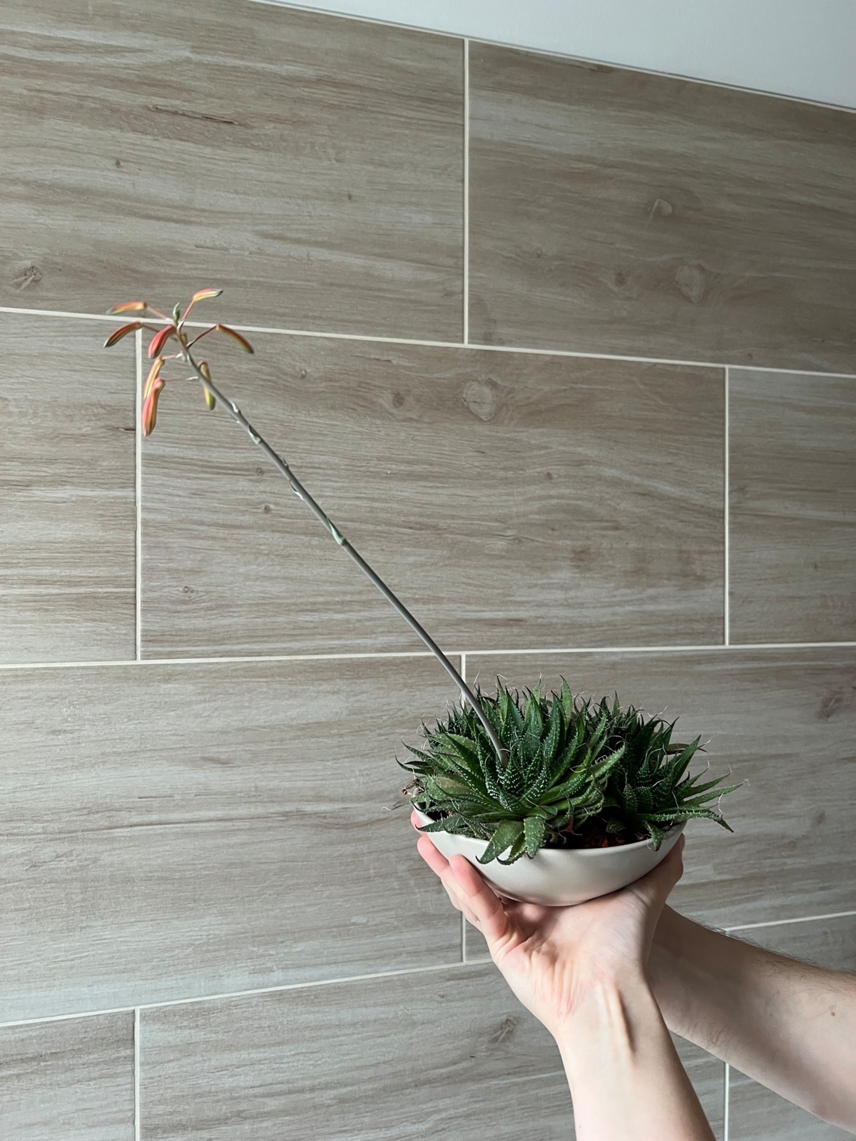 60828896-68f7-4a2a-b359-b2ac373df60b