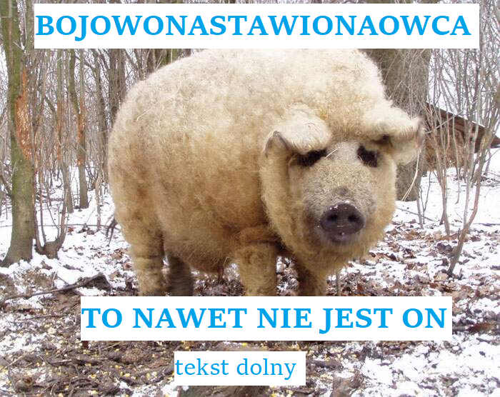 4cecddc9-181c-4486-9236-30514b6e3a89