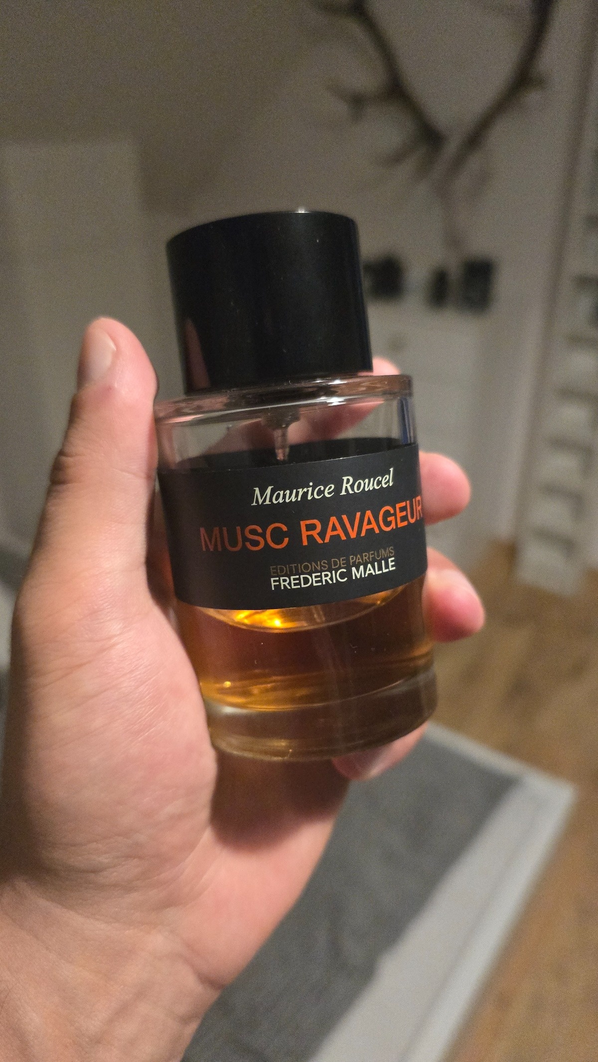 e295c70b-8fdd-4313-a2c7-d89b5c5bd2a4