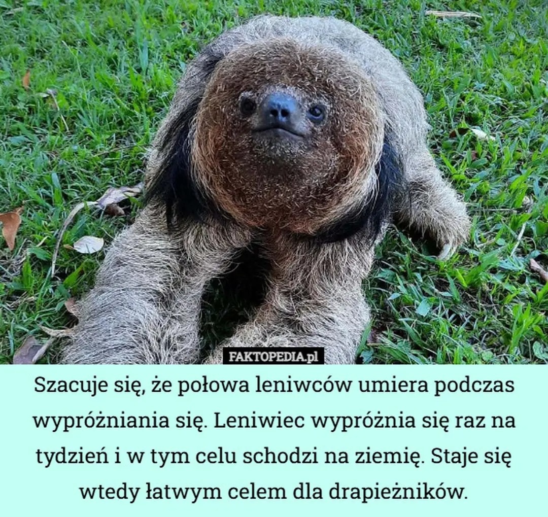 dd1d86c5-ef31-4825-8aec-a3c6902002ba