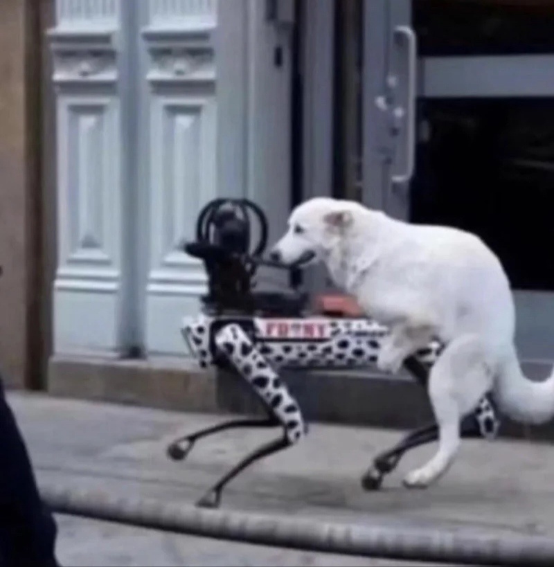 a5682d34-187c-419b-8dee-3943a16f607e