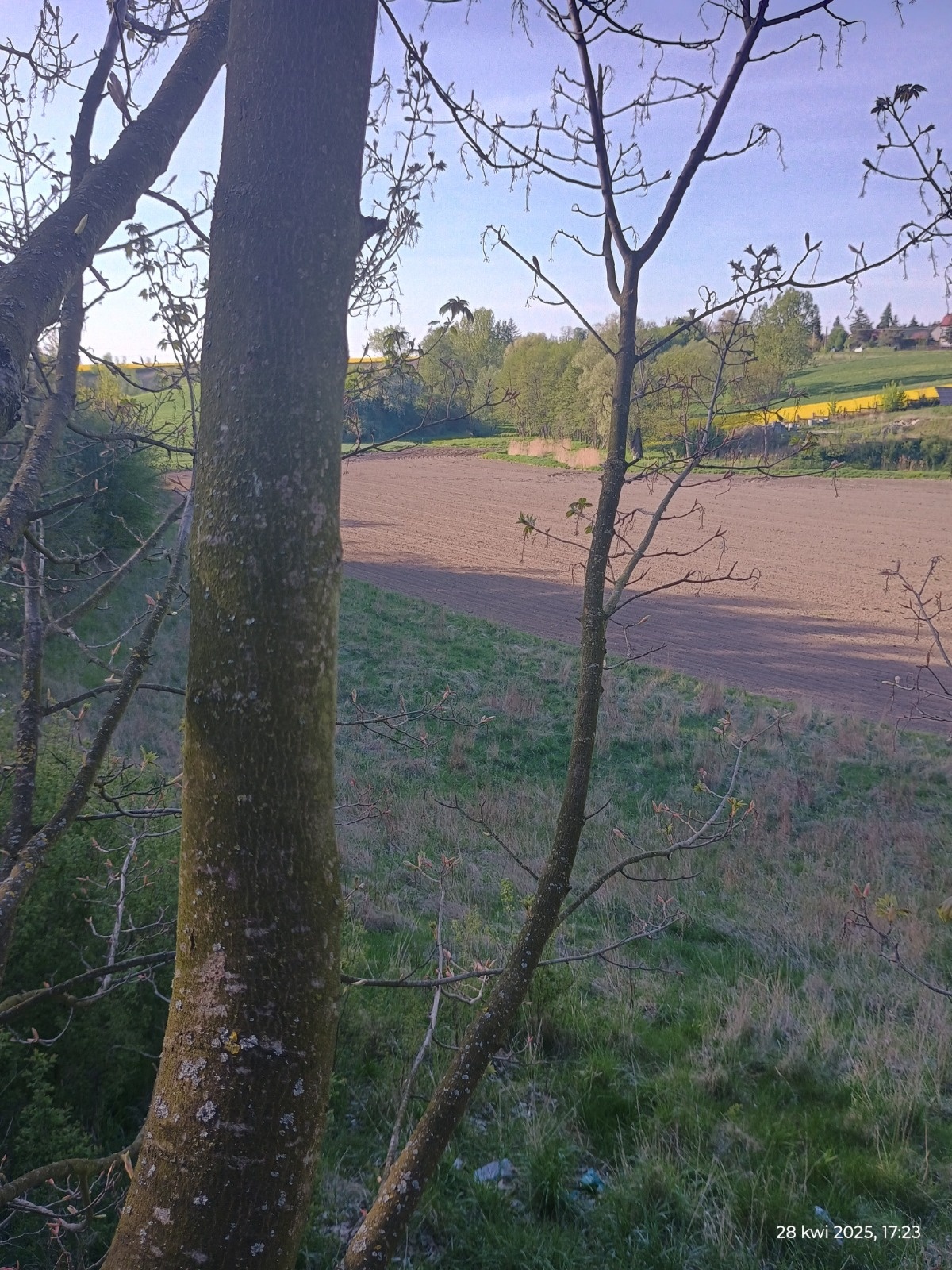 9eb938ae-6e9e-4f49-bb34-889f0f8bc488