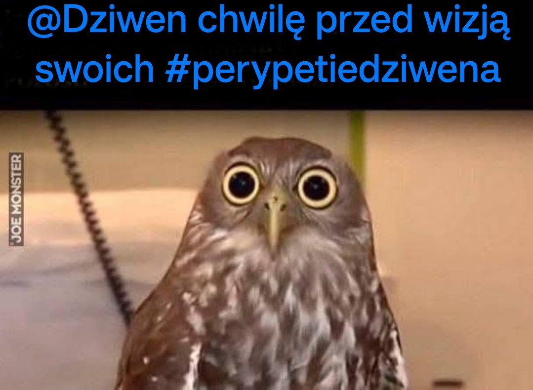 18aafb71-161e-4800-b0cf-826bef424aa3