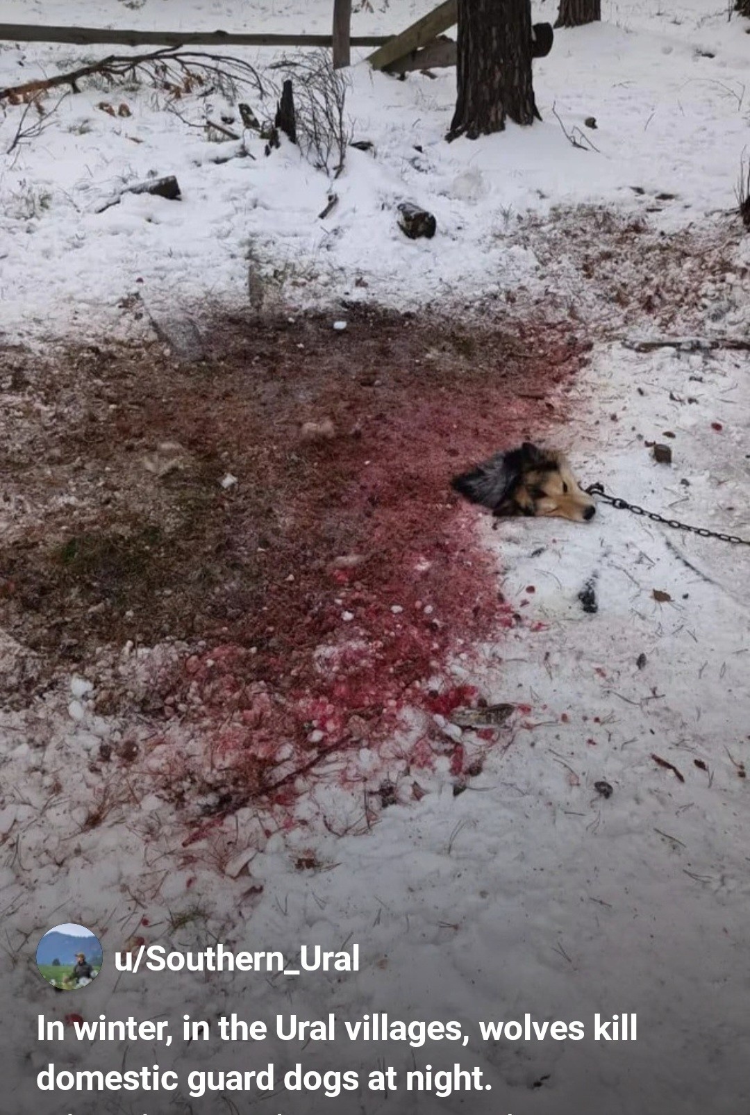 41df768a-849a-40b0-b689-2273c1910bb0