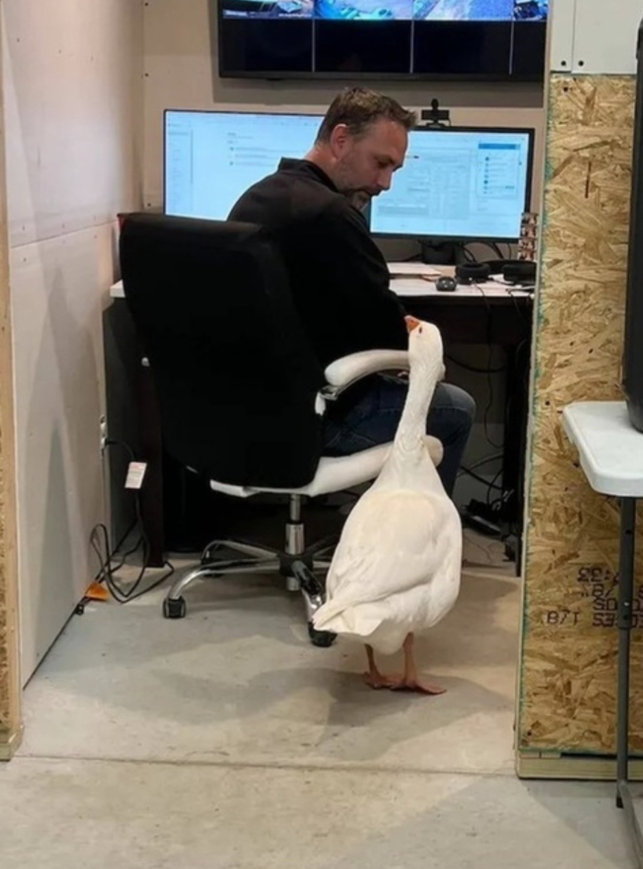 6cfc1432-e855-4e9f-a0be-e3d213c5e9ee