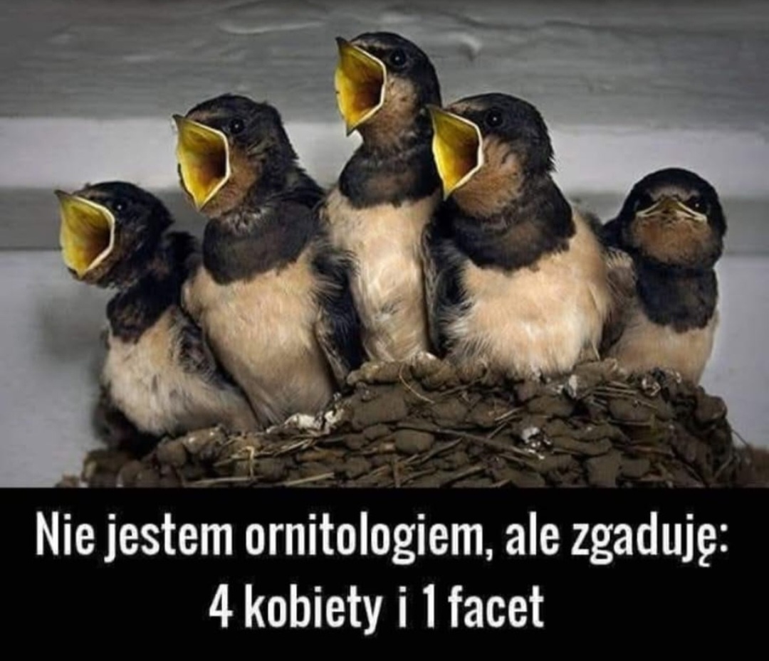 460745cb-da44-4399-824e-1bbf531c6869