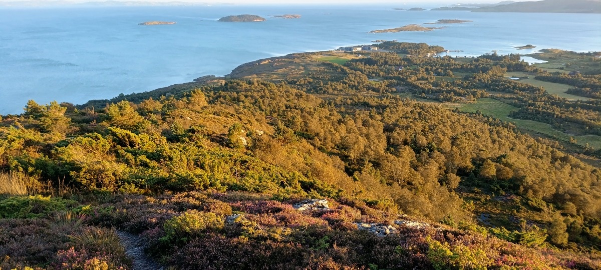 5f26d780-f4a2-4a6f-91b0-76731d30664c