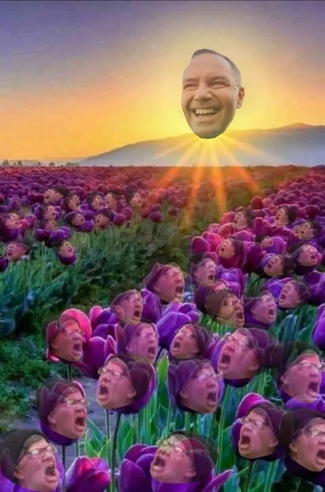 f1541a22-e365-4d14-84cf-9379f364fcc8