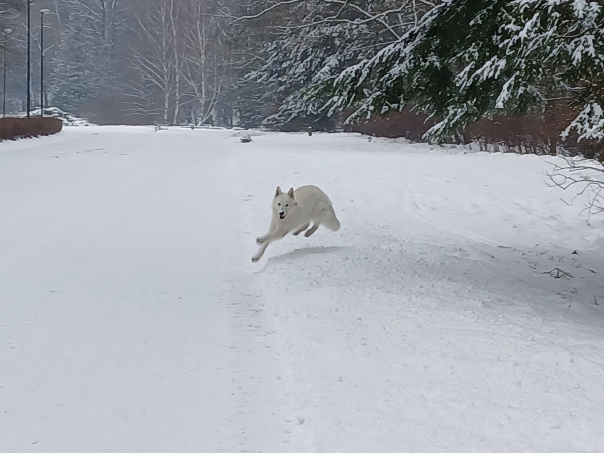 ee911ec8-e552-4882-a9e2-c8c0c9fbc889