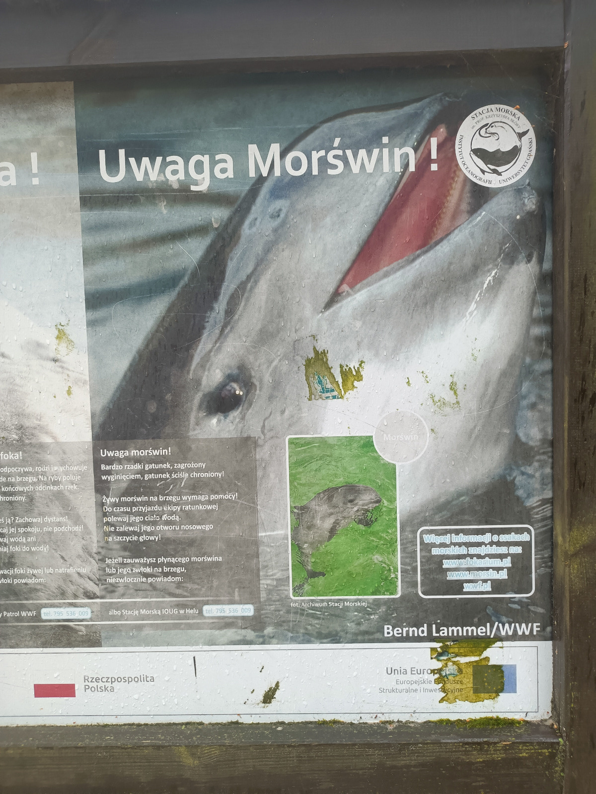 ee1b3550-b4db-4f72-9918-32e7ee7bc237