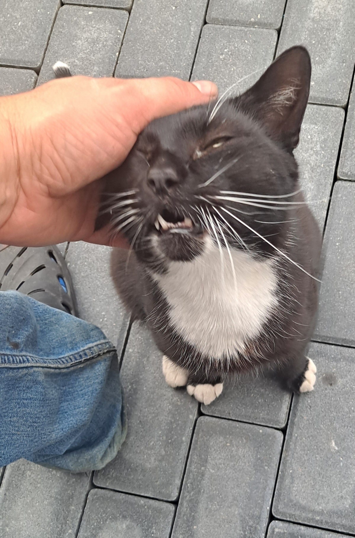 aed17a9d-7a1d-4aea-9253-a1eb0add4f49