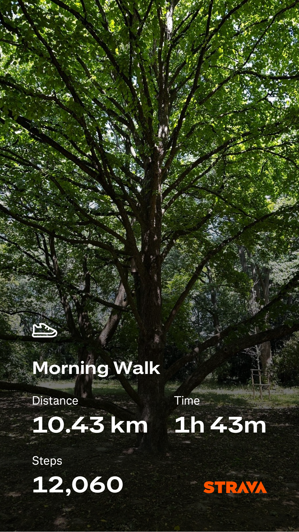 36fee9cd-b215-47d5-b985-80089176b094