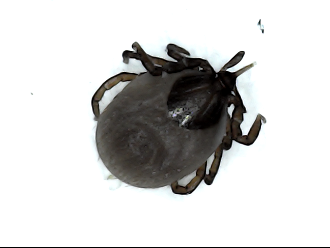 cf7ae27d-6f6c-4f52-865a-6d718438ebf1