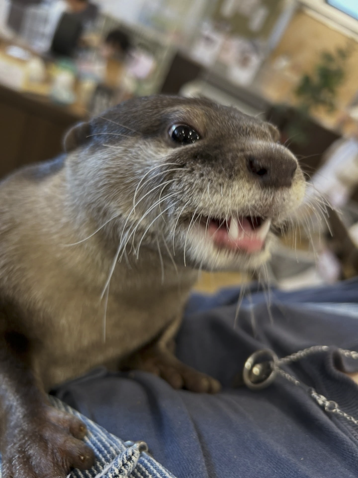 5143d272-3792-4023-ab5d-c82055e64ebb