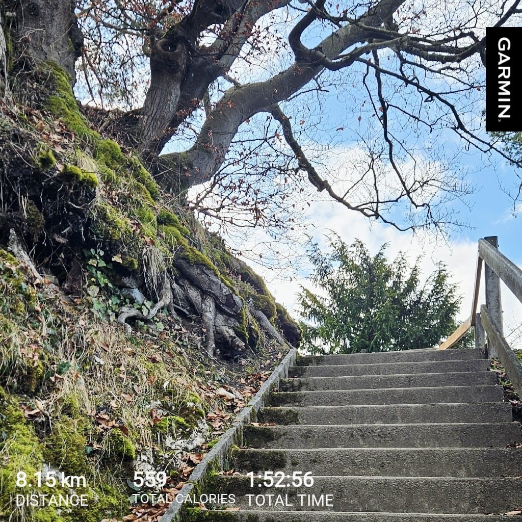 6198a34b-4d85-49c0-ace6-d97bb8712482