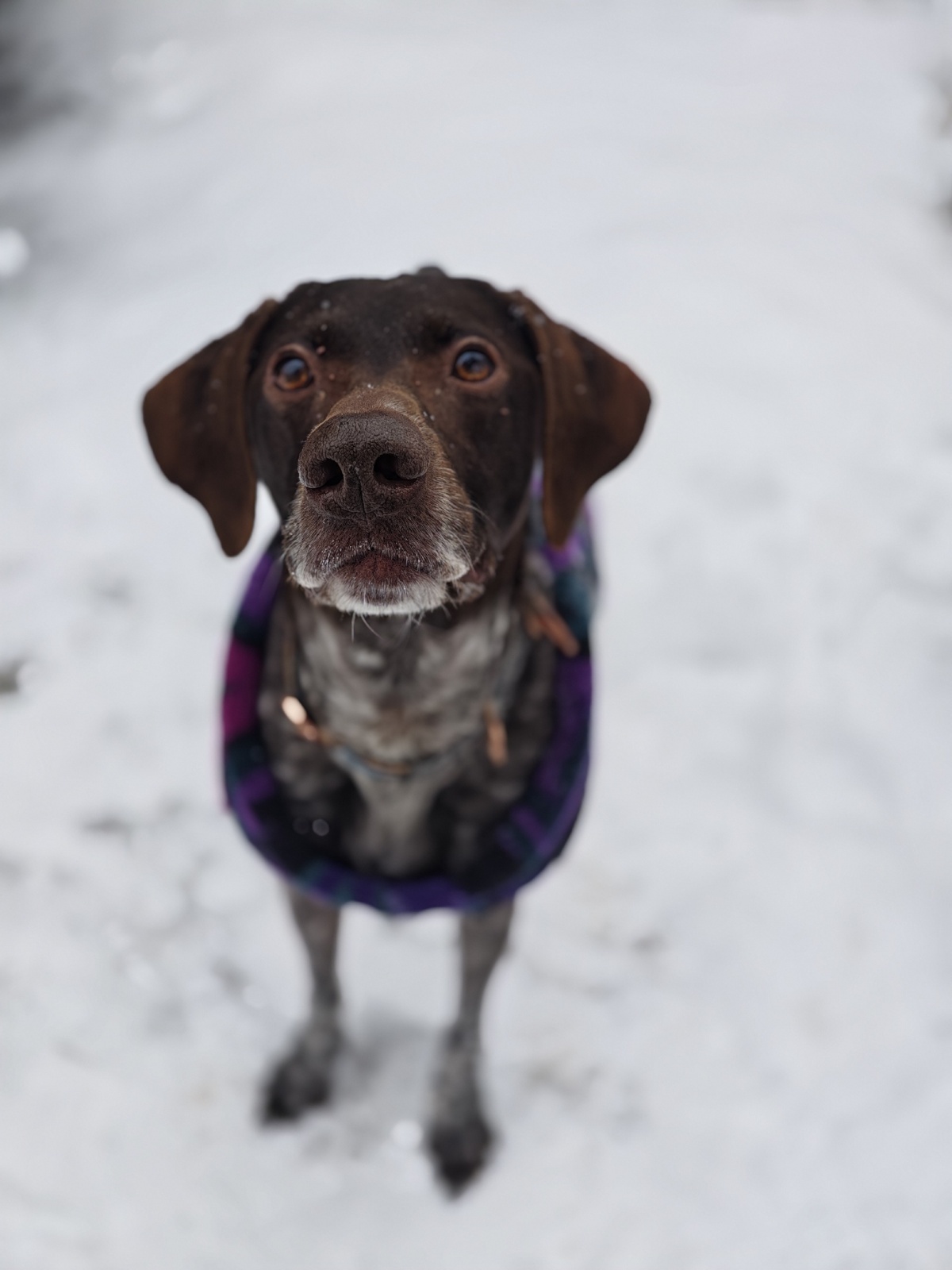 20c9e582-0209-4a21-a293-b0e1ba7addc4