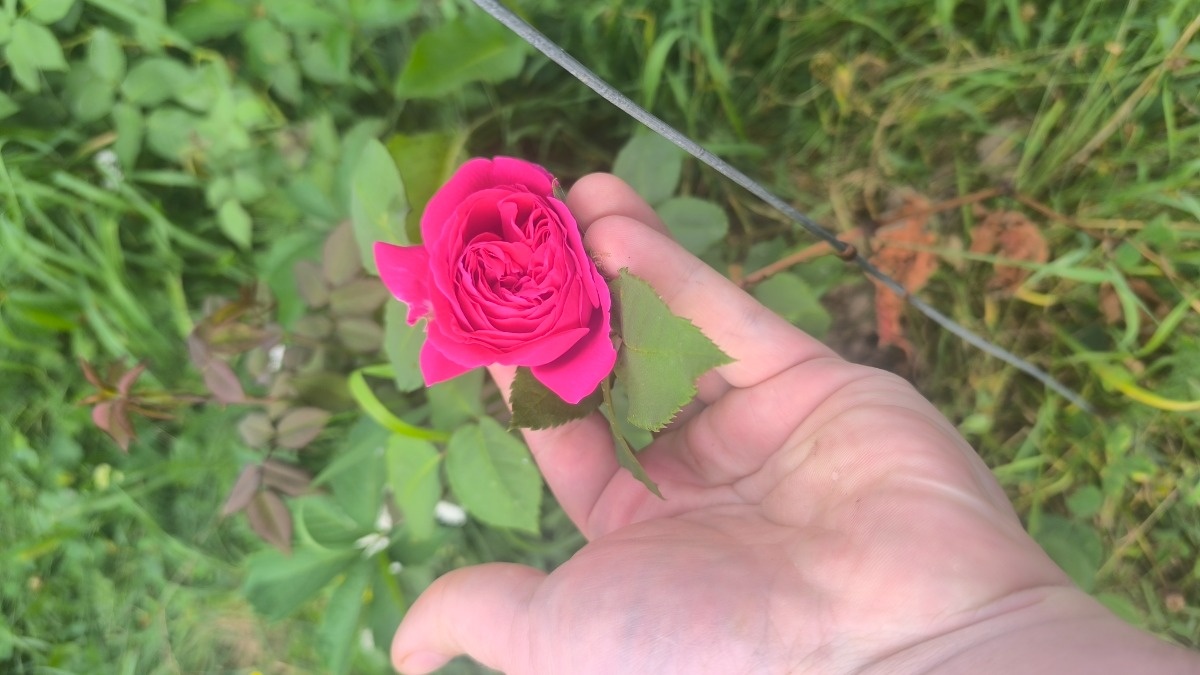 2b3ff10b-37b6-4389-8832-4e6e9f64b135