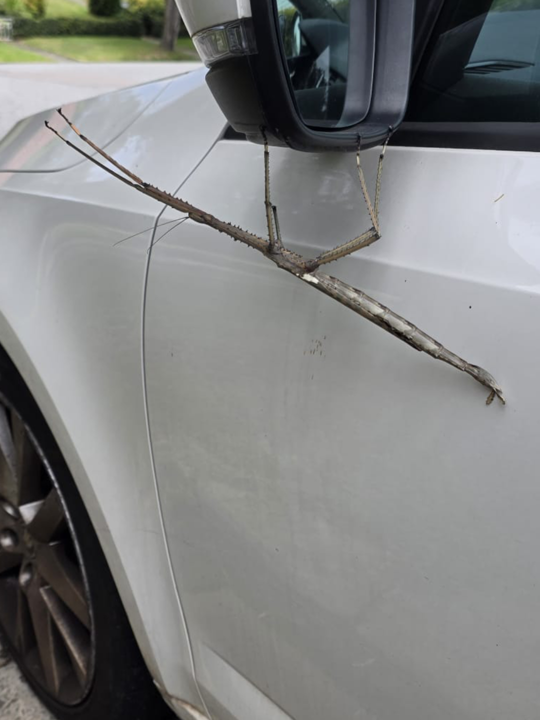 d8dc6b1a-d017-4211-b747-a4d48d15a353