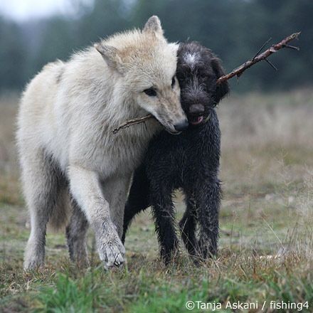 c9eea343-62d8-454f-94a4-3caeb7b972b8