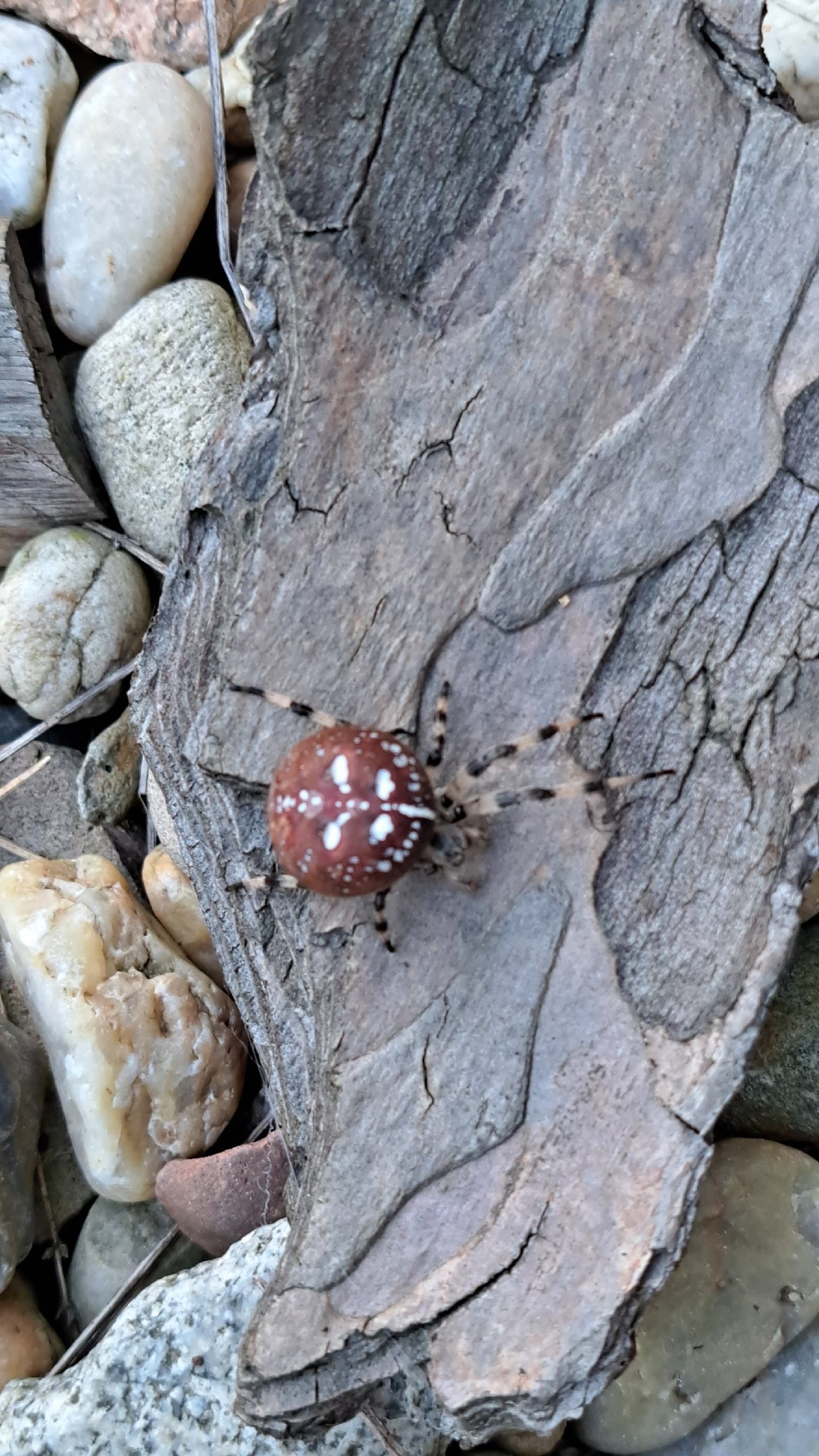 85d3cef7-2669-4442-af00-15ace6e8be31