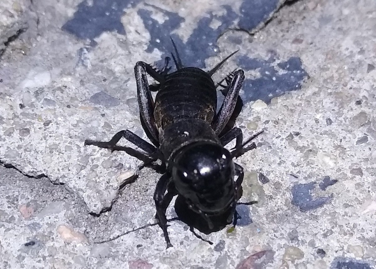 1230aee7-2969-4050-9ba7-04a911e98e3d