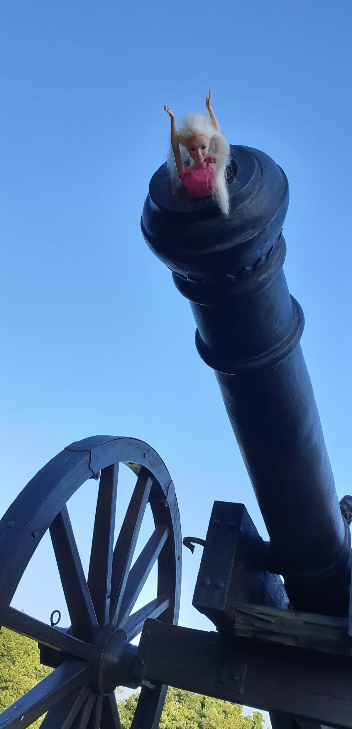 d95287a6-d8ca-41d2-83f6-592256881c79