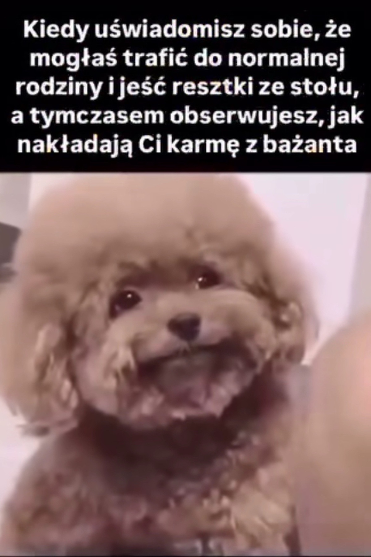 35cfbc4c-52e7-4888-94cb-5304897641b1