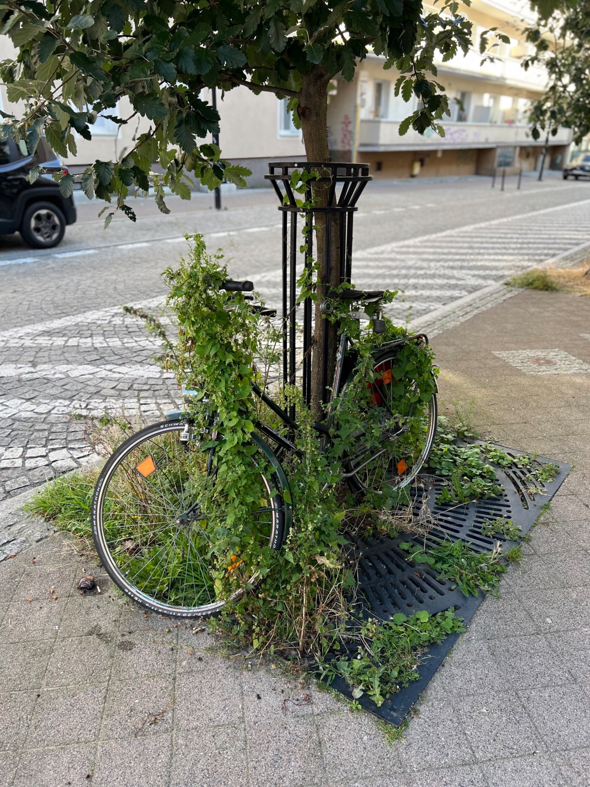 4c19a591-b583-4961-9465-e154bd784f70