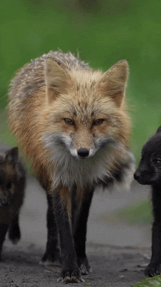 6c9de103-a34c-4f6e-aa0c-217389ae9ca0