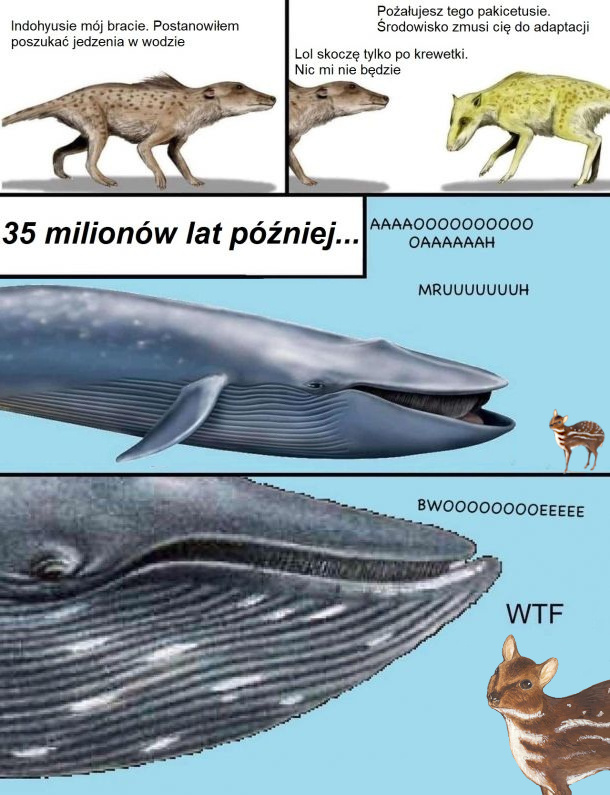 1328c30f-e0a2-42a8-8566-6a60930993b7