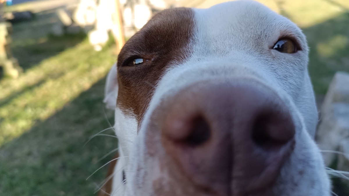 fa5c016b-2d98-4558-90b7-e2e5444b6371