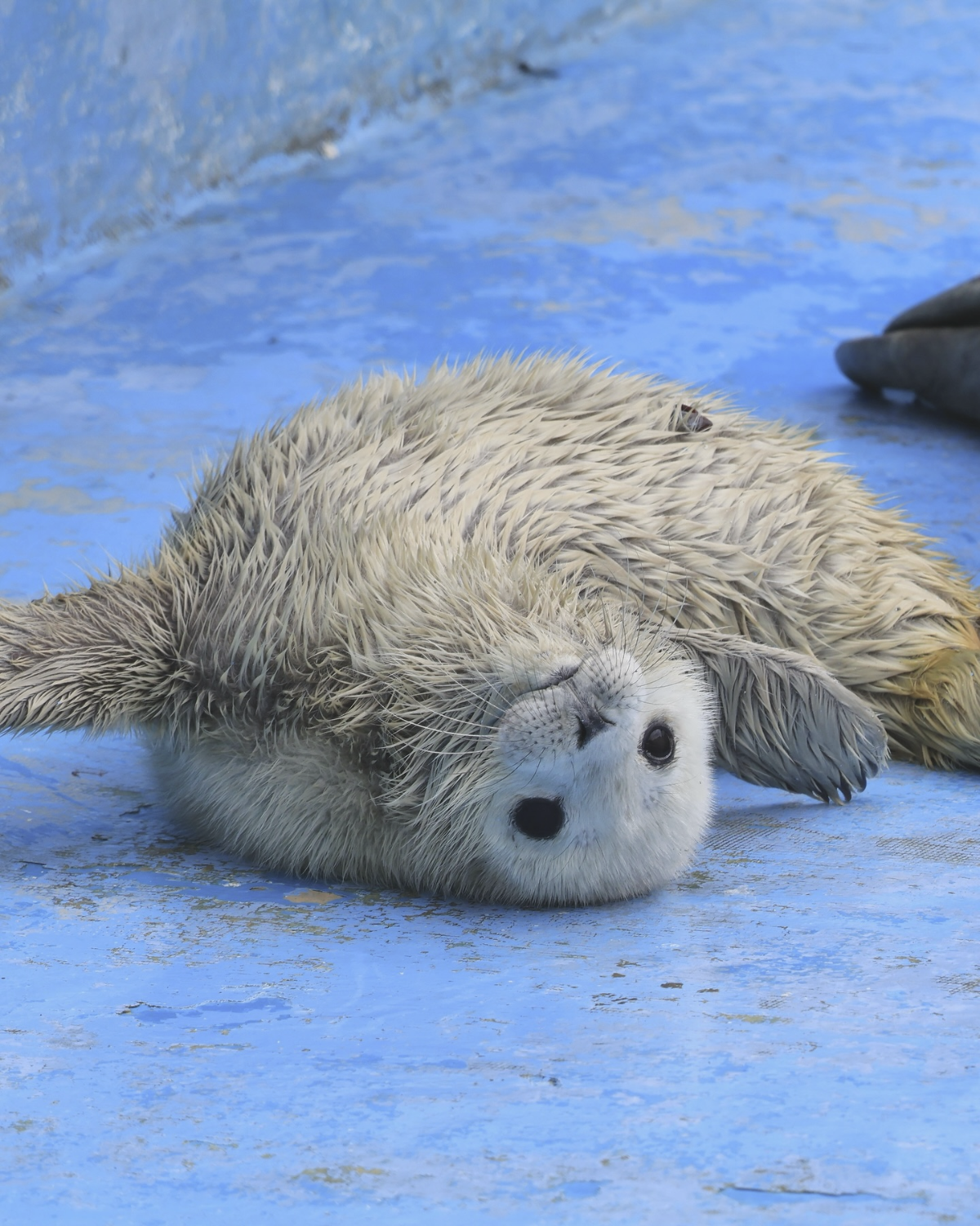 ce20a67c-612f-4f7f-8e62-edf8af20ea68